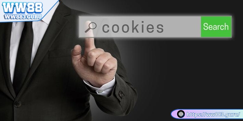 Chính Sách Bảo Mật WW88 11 chinh-sach-bao-mat-ww88-cookies