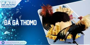 da-ga-thomo