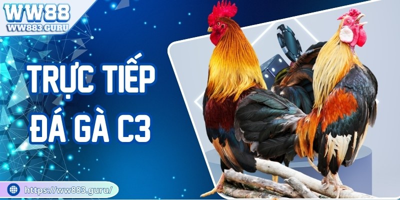 truc-tiep-da-ga-c3